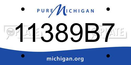 11389B7 Michigan License Plate