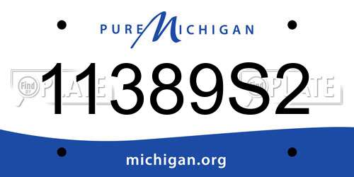 11389S2 Michigan License Plate