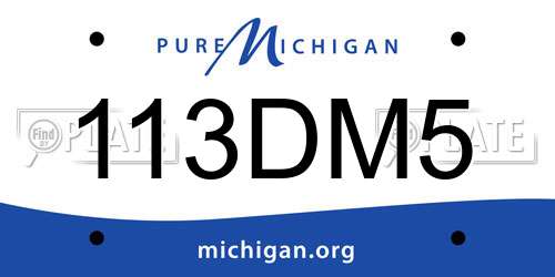 113DM5 Michigan License Plate