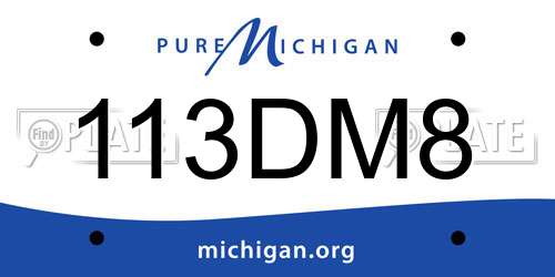 113DM8 Michigan License Plate