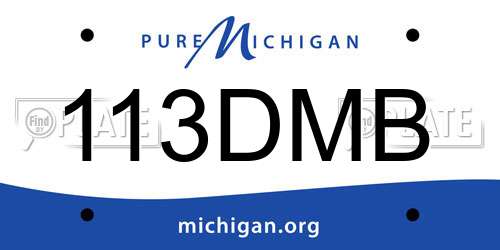 113DMB Michigan License Plate
