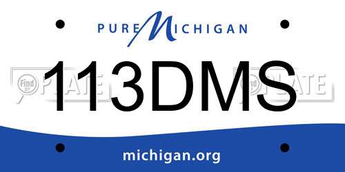 113DMS Michigan License Plate