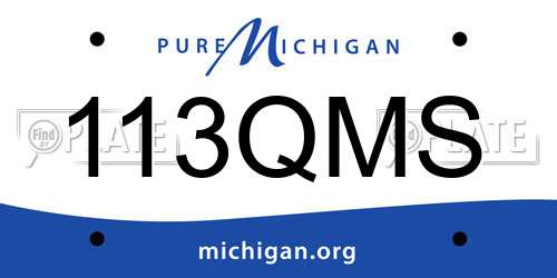 113QMS Michigan License Plate