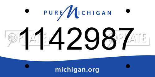 1142987 Michigan License Plate