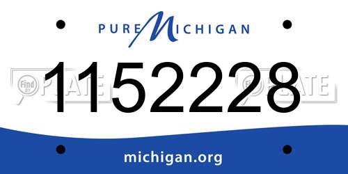1152228 Michigan License Plate