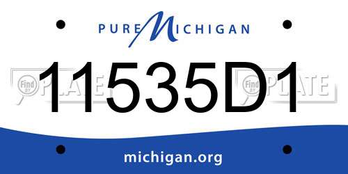 11535D1 Michigan License Plate