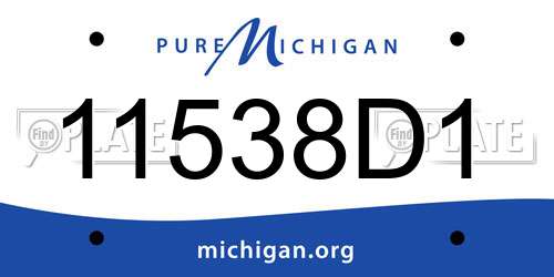 11538D1 Michigan License Plate