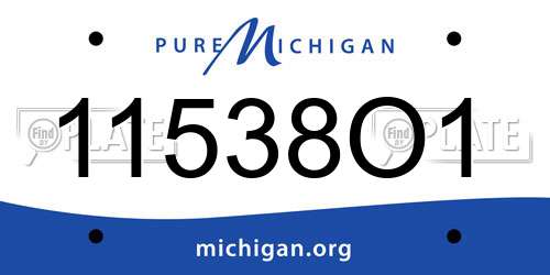 11538O1 Michigan License Plate