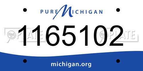 1165102 Michigan License Plate