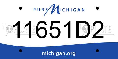 11651D2 Michigan License Plate