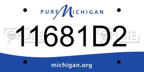 11681D2 Michigan License Plate