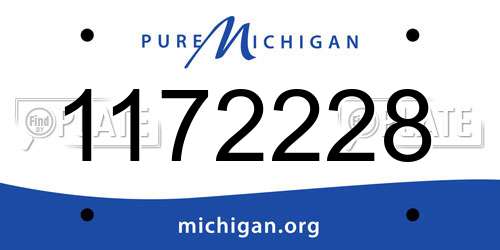 1172228 Michigan License Plate