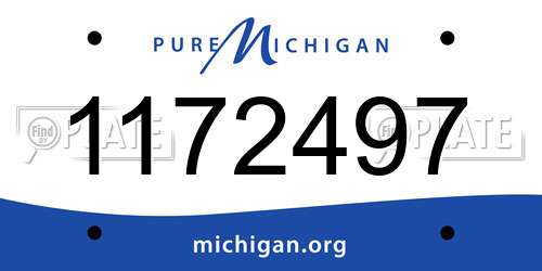 1172497 Michigan License Plate