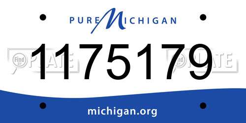 1175179 Michigan License Plate