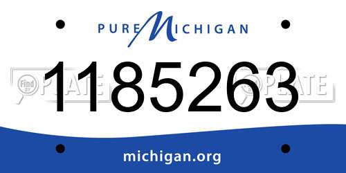 1185263 Michigan License Plate