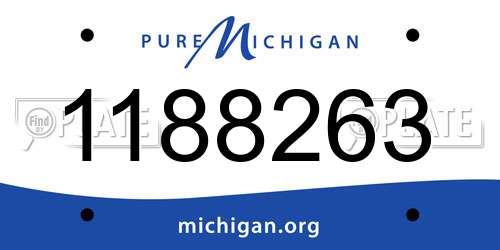 1188263 Michigan License Plate