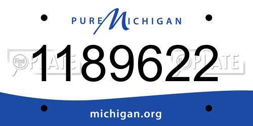 1189622 Michigan License Plate