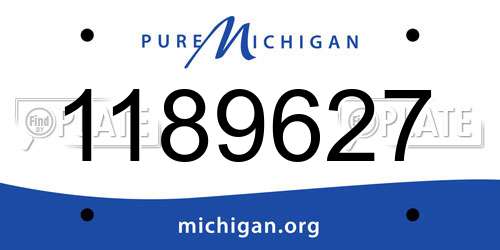 1189627 Michigan License Plate