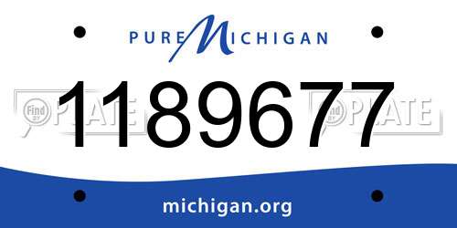 1189677 Michigan License Plate