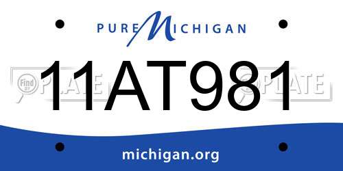 11AT981 Michigan License Plate