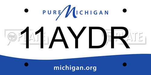 11AYDR Michigan License Plate
