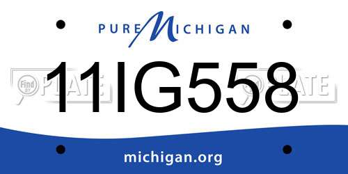 11IG558 Michigan License Plate