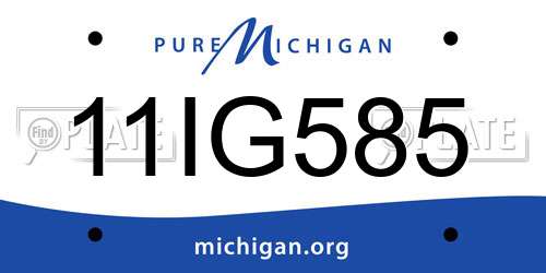 11IG585 Michigan License Plate