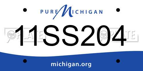 11SS204 Michigan License Plate