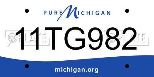 11TG982 Michigan License Plate