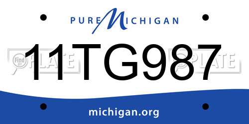 11TG987 Michigan License Plate