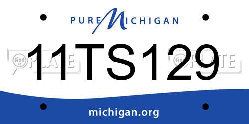 11TS129 Michigan License Plate