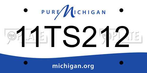 11TS212 Michigan License Plate