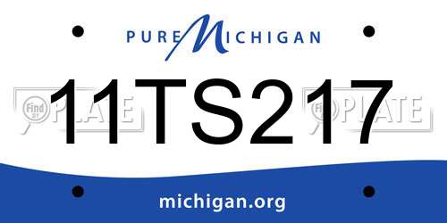 11TS217 Michigan License Plate