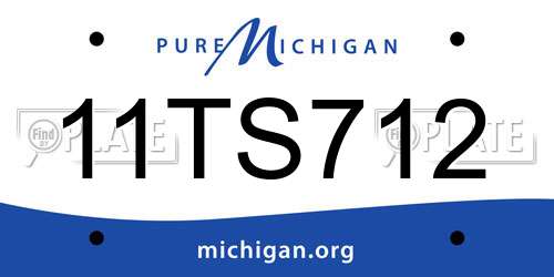 11TS712 Michigan License Plate