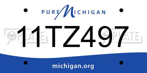 11TZ497 Michigan License Plate
