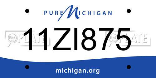 11ZI875 Michigan License Plate
