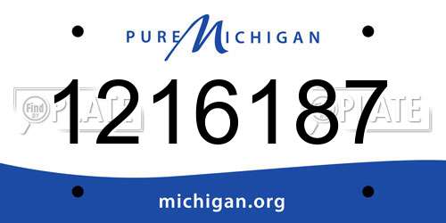 1216187 Michigan License Plate