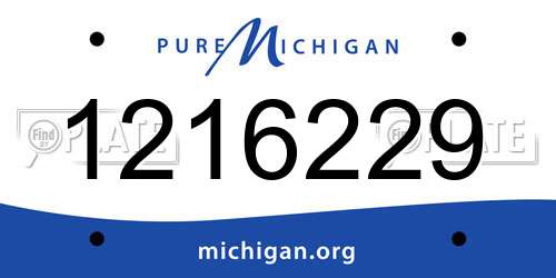 1216229 Michigan License Plate