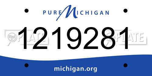 1219281 Michigan License Plate