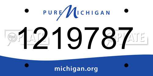 1219787 Michigan License Plate