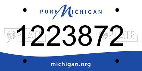 1223872 Michigan License Plate