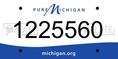 1225560 Michigan License Plate