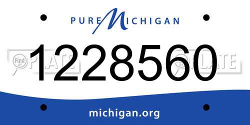 1228560 Michigan License Plate