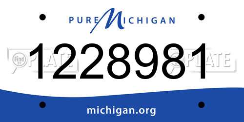 1228981 Michigan License Plate
