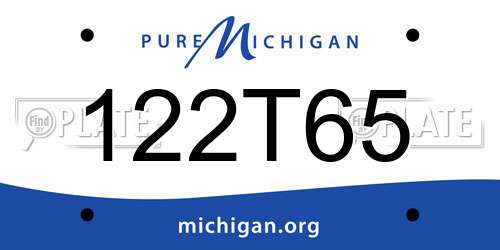 122T65 Michigan License Plate