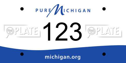 123 Michigan License Plate