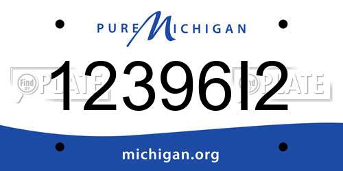 12396I2 Michigan License Plate