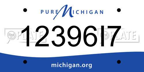 12396I7 Michigan License Plate