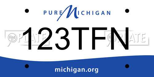 123TFN Michigan License Plate