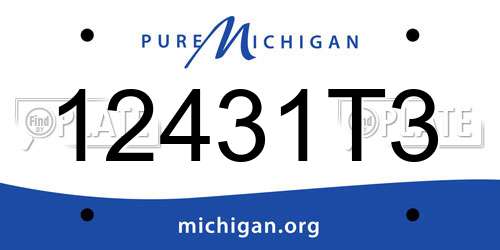 12431T3 Michigan License Plate